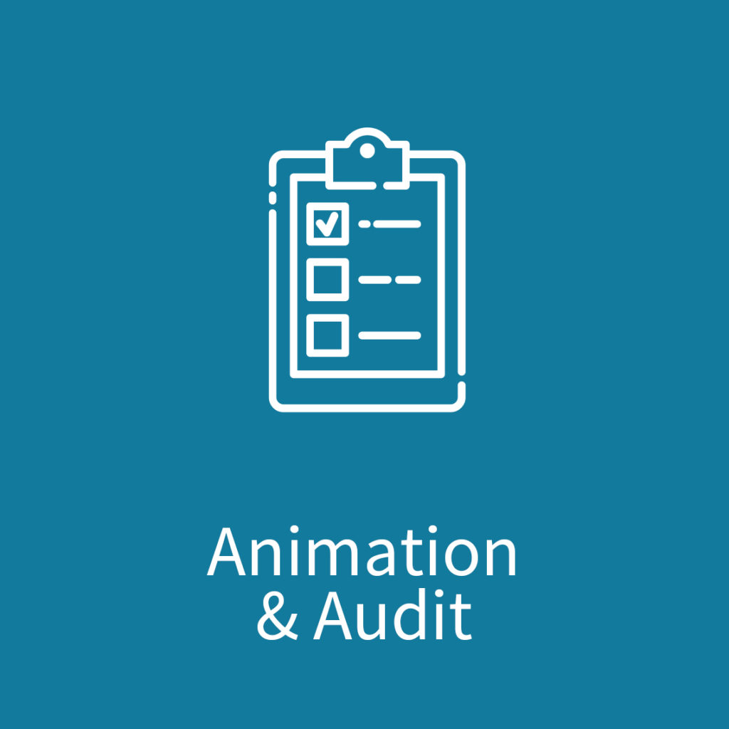 Module Animation & Audit de Synergee