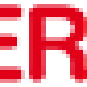 Synergee accompagne le développement du réseau Intersport